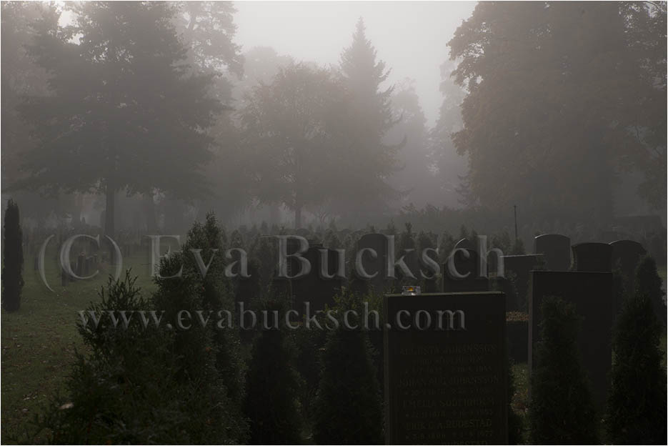 Foto av Eva Bucksch